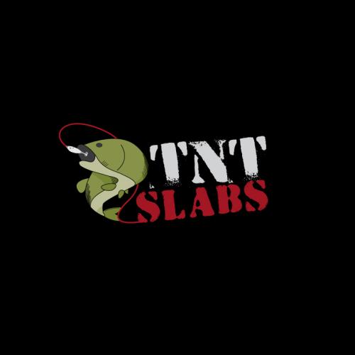 Logo Design entry 18673 submitted by banned_Spire-NY