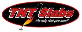 Logo Design entry 32192 submitted by aks to the Logo Design for TNT Slabs run by justgettingby