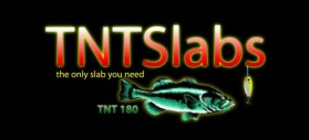 Logo Design Entry 32199 submitted by Linda to the contest for TNT Slabs run by justgettingby
