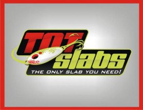 Logo Design entry 32205 submitted by chungdehtien to the Logo Design for TNT Slabs run by justgettingby