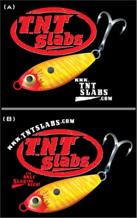 Logo Design entry 32209 submitted by Machineman to the Logo Design for TNT Slabs run by justgettingby