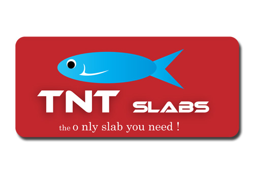 Logo Design entry 32227 submitted by Magik to the Logo Design for TNT Slabs run by justgettingby