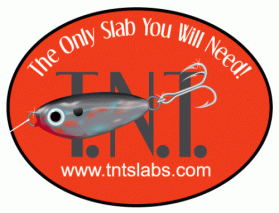 Another design by Machineman submitted to the Logo Design for TNT Lab by rlanders