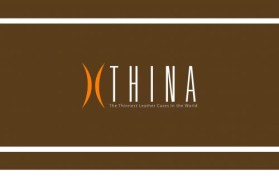 Logo Design entry 32379 submitted by kallecasa to the Logo Design for Thina Cases run by topsprout