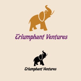 Logo Design entry 33720 submitted by sarah0077 to the Logo Design for TRIUMPHANT VENTURES run by voodoo-q