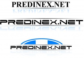 Logo Design entry 35015 submitted by bornaraidr to the Logo Design for PREDINEX.NET run by sekwiatkowski