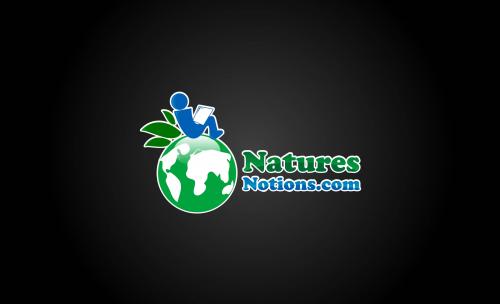 Logo Design entry 34377 submitted by ongyudicandra to the Logo Design for www.naturesnotions.com run by author