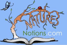 Logo Design entry 34205 submitted by jojomarie to the Logo Design for www.naturesnotions.com run by author