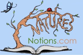 Logo Design entry 34206 submitted by jojomarie to the Logo Design for www.naturesnotions.com run by author