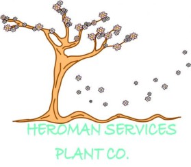 Logo Design entry 36403 submitted by MariaCane to the Logo Design for HeroMan Services Plant Company run by Dee