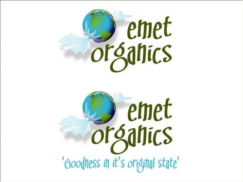 Logo Design entry 1526 submitted by Artist Holly