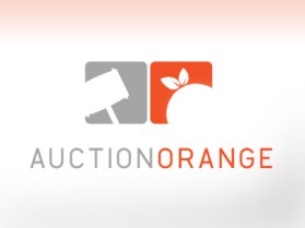 Logo Design entry 37953 submitted by damichi75 to the Logo Design for Auction Orange run by timechime