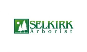Logo Design Entry 42510 submitted by FAadz to the contest for Selkirk Arborist run by treeservice