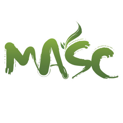 Logo Design entry 43457 submitted by for my King! to the Logo Design for Salon Masc run by salonmasc
