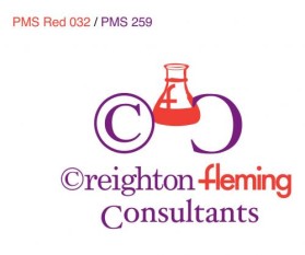Logo Design entry 44548 submitted by jmaydesign to the Logo Design for Creighton Fleming Consultants run by creightonfleming