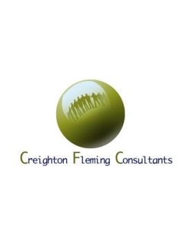Logo Design entry 44549 submitted by jmaydesign to the Logo Design for Creighton Fleming Consultants run by creightonfleming