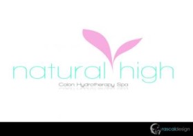 Logo Design entry 47933 submitted by kandsgraphics to the Logo Design for Natural High run by naturalhigh