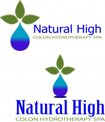Logo Design entry 34059 submitted by picasso