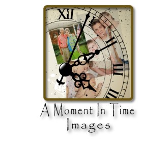 Logo Design Entry 15928 submitted by kreativitee to the contest for A Moment In Time Images run by cindyjo0318