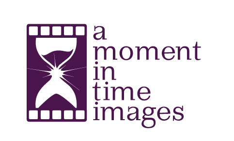 Logo Design entry 15940 submitted by NancyCarterDesign to the Logo Design for A Moment In Time Images run by cindyjo0318