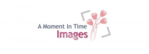 Logo Design entry 15952 submitted by simplysuperb to the Logo Design for A Moment In Time Images run by cindyjo0318