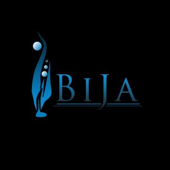 Logo Design entry 51203 submitted by jemon to the Logo Design for BIJA Consulting run by Diana F.