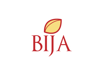 Logo Design entry 51219 submitted by aburke37 to the Logo Design for BIJA Consulting run by Diana F.