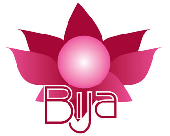 Logo Design entry 51236 submitted by 983498u349349 to the Logo Design for BIJA Consulting run by Diana F.
