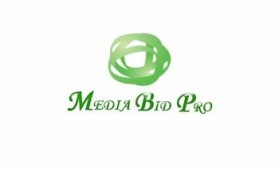 Logo Design entry 53041 submitted by droidesigner to the Logo Design for Media Bid Pro run by webspl