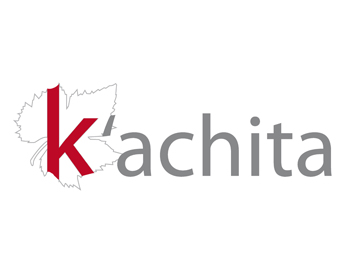 Logo Design entry 55158 submitted by xarz3 to the Logo Design for K'achita run by kachita