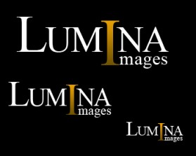 Logo Design entry 56970 submitted by RibMan to the Logo Design for Lumina Images run by Luminaimages