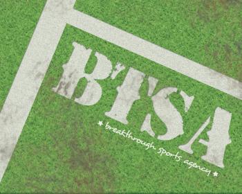 Logo Design entry 58108 submitted by KayleeBugDesignStudio to the Logo Design for BTSA run by BTSA