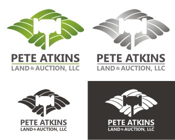 Logo Design entry 45747 submitted by ANPAdesign