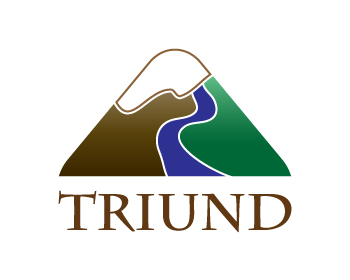 Logo Design entry 64699 submitted by andra121 to the Logo Design for Triund Management Corporation run by triundmanagement