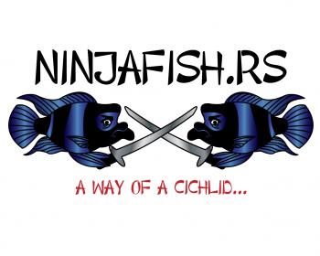 Logo Design entry 65206 submitted by finelinedesigns to the Logo Design for ninjafish.rs run by piroman