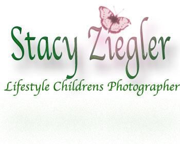 Logo Design entry 68709 submitted by mhaevan_19 to the Logo Design for stacyZiegler  run by stacyz