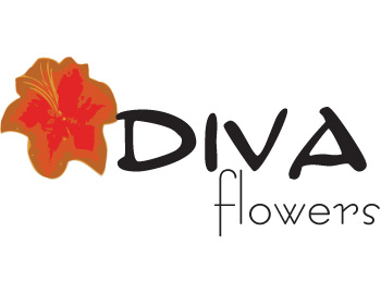 Logo Design entry 70927 submitted by Arsenal Studios to the Logo Design for Diva Flowers run by a27lee