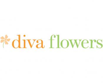Logo Design entry 70927 submitted by NA9438459043896046 to the Logo Design for Diva Flowers run by a27lee