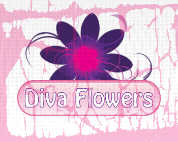 Logo Design entry 70997 submitted by earth_doll to the Logo Design for Diva Flowers run by a27lee