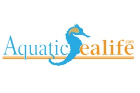 Logo Design entry 17215 submitted by kreativitee to the Logo Design for Aquatic Sealife run by chev454