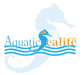 Logo Design entry 17217 submitted by woosh design to the Logo Design for Aquatic Sealife run by chev454