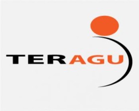 Logo Design entry 72806 submitted by witteveentommy to the Logo Design for Teragu run by absolut_rulo