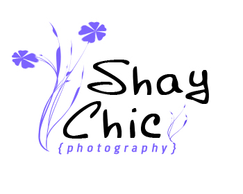 Logo Design entry 60379 submitted by mossy