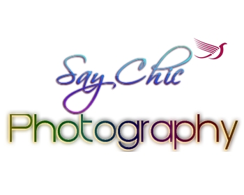 Logo Design entry 60456 submitted by Jerlene