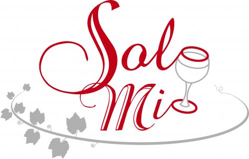 Logo Design entry 17545 submitted by timmynorman to the Logo Design for Solo Mio run by solomio