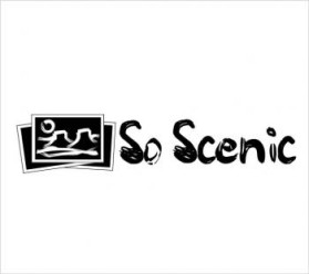 Logo Design entry 78393 submitted by ArtMachine to the Logo Design for so scenic run by Vincent B