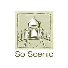 Logo Design entry 78395 submitted by DONNAC95 to the Logo Design for so scenic run by Vincent B