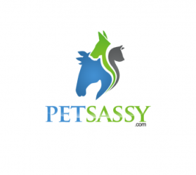 Logo Design entry 606430 submitted by attidk