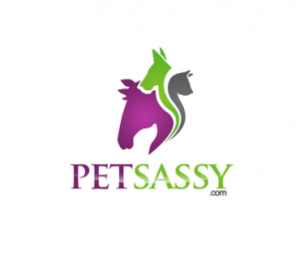 Logo Design entry 606431 submitted by attidk to the Logo Design for petsassy.com run by YM