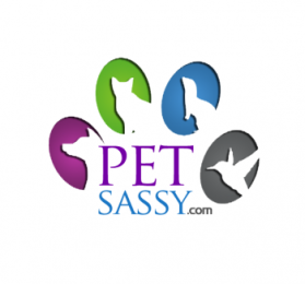 Logo Design entry 630235 submitted by attidk